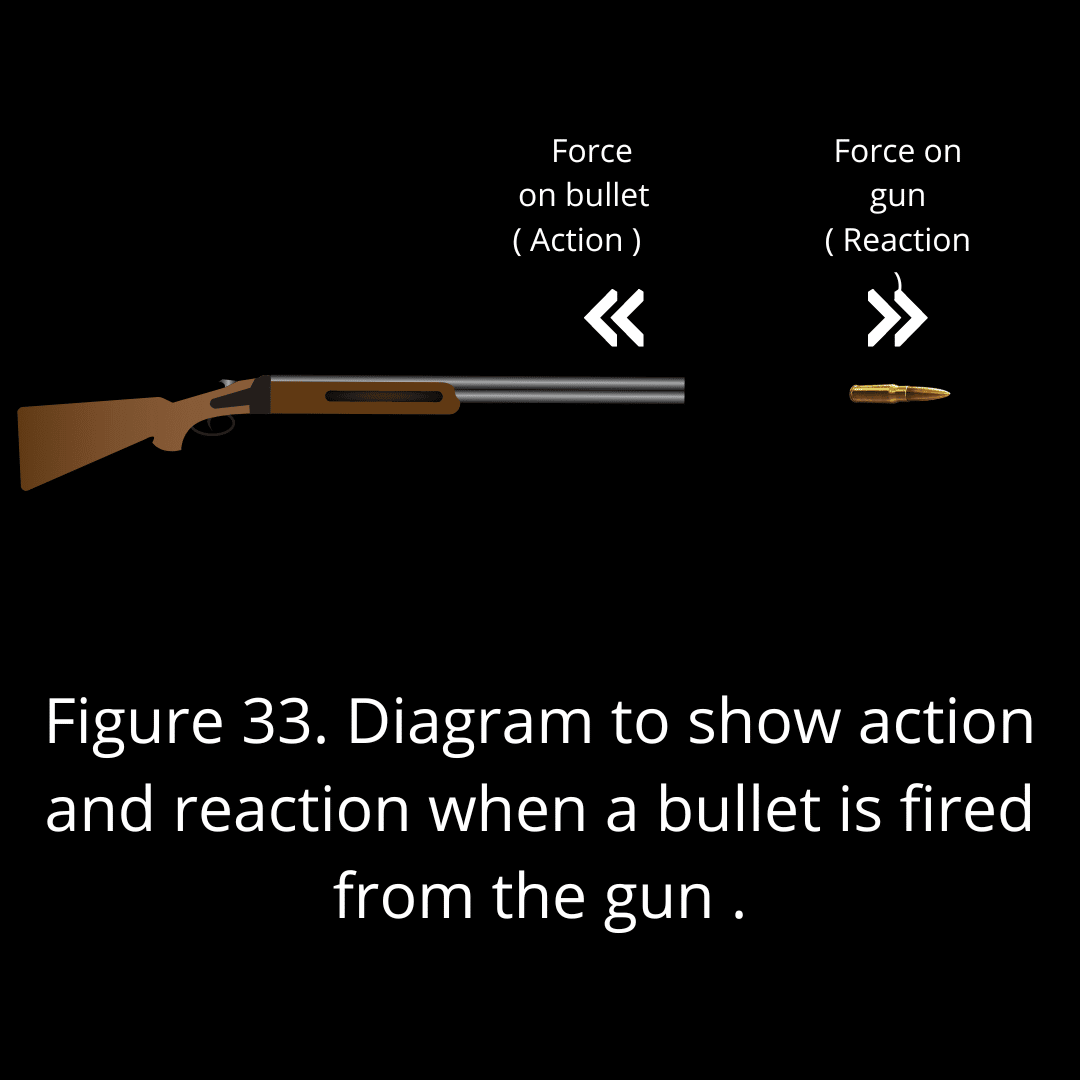 third law of motion class 9 notes