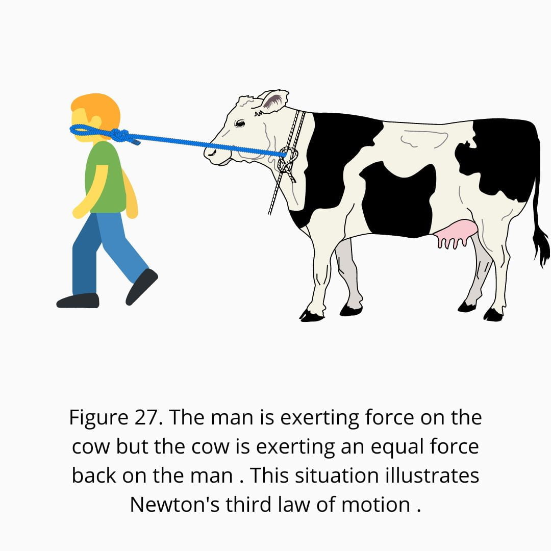 third law of motion class 9th example